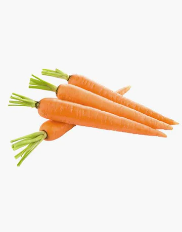 Fresh carrot natural